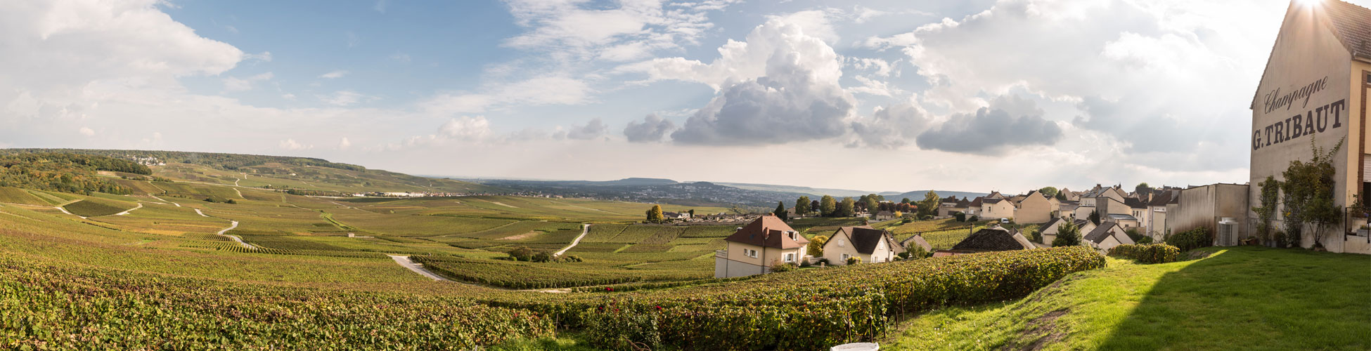 Vue panoramique du Champagne G Tribaut